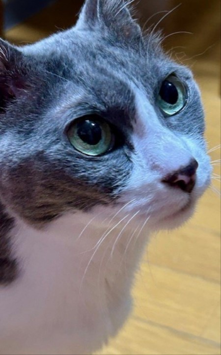 thumbnail_IMG_4596 (2)