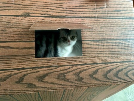 thumbnail_IMG_8375 (4)