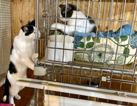 f01bb1c8-8ae2-4bf2-b2db-685d9e7c68cc