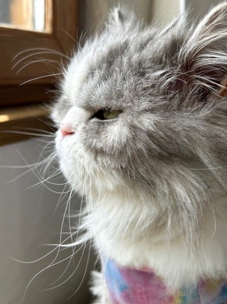 thumbnail_IMG_9879 (1)