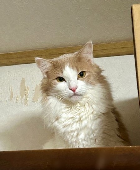 thumbnail_IMG_5221 (2)