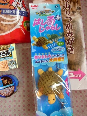 「猫だらけ」