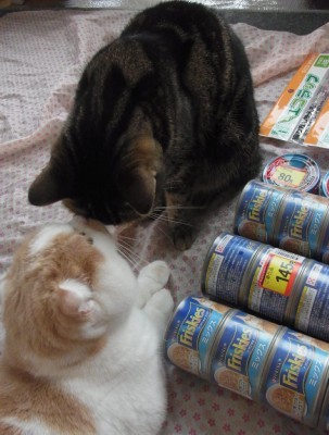 「猫だらけ」
