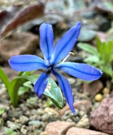 thumbnail_IMG_5448 (2)