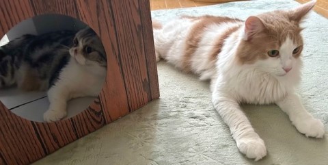 thumbnail_IMG_8380 (2)