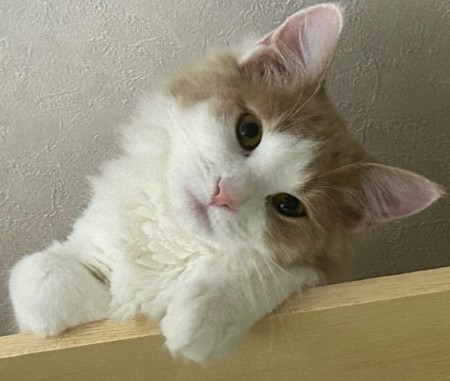 thumbnail_IMG_5665 (1)