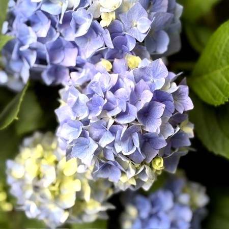 3b322e1b-a3b3-401e-85d3-16bbc5fa68cf