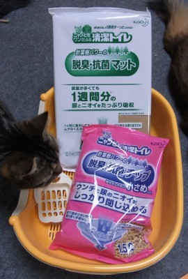 「猫だらけ」