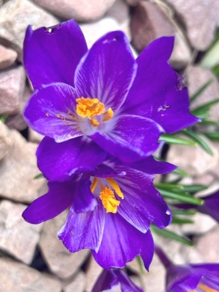 thumbnail_IMG_4502 (1)