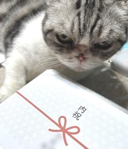 thumbnail_IMG_6939 (1)