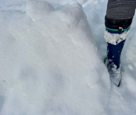 3d868dcb-a616-4730-ba39-3bd318428f96