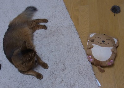 「猫だらけ」