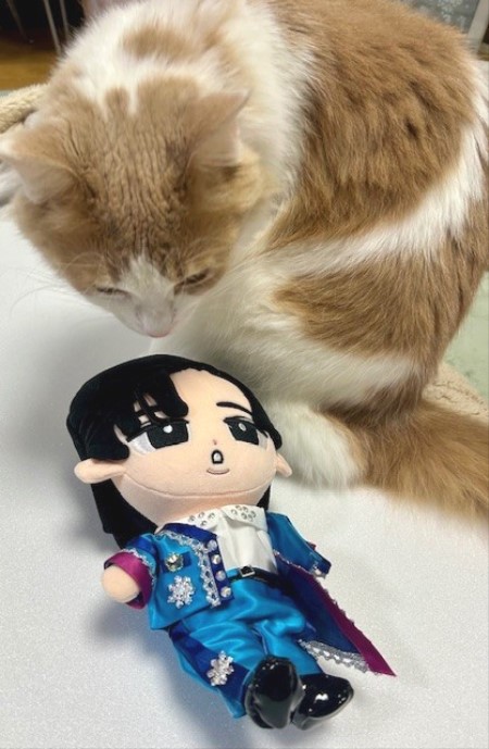 thumbnail_IMG_6205 (1)