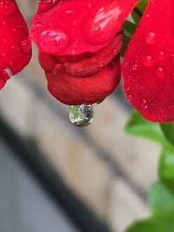 IMG_1043