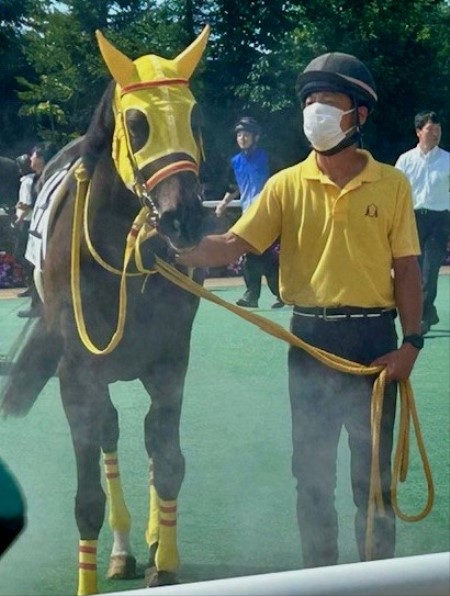 thumbnail_IMG_0459 (1)