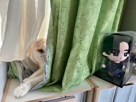 thumbnail_IMG_9830 (1)