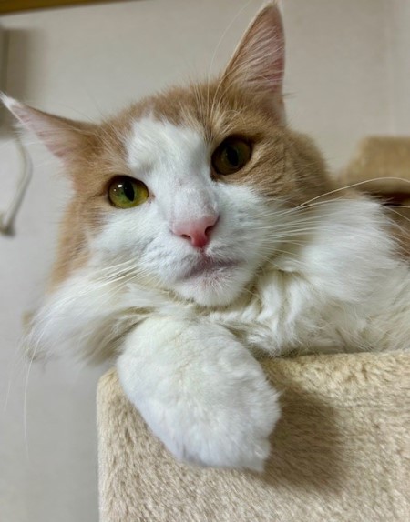 3816c736-fc36-4f5f-9674-1c385b8c27b3