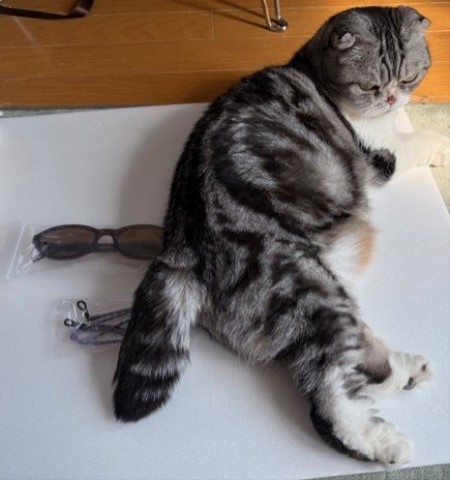 c411ad09-2045-49d0-af38-7c86b1e41e4b