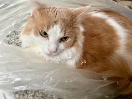 thumbnail_IMG_2779 (1)