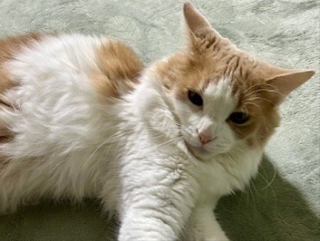 thumbnail_IMG_3091 (1)_1