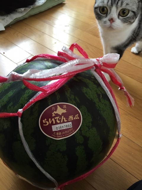 {15D6C492-B7A5-4E73-B817-60C2C5E2D1EA}