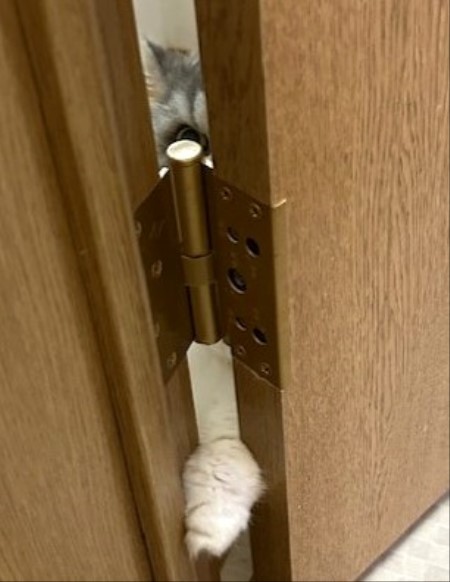 thumbnail_IMG_1366 (1)