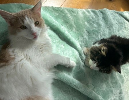 thumbnail_IMG_7434 (1)