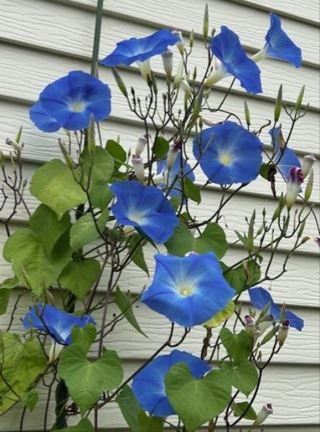 thumbnail_IMG_5478 (1)