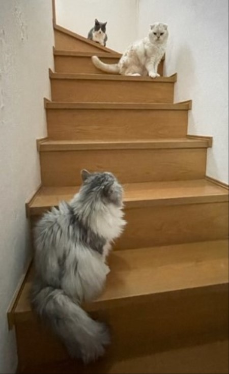 thumbnail_IMG_0234