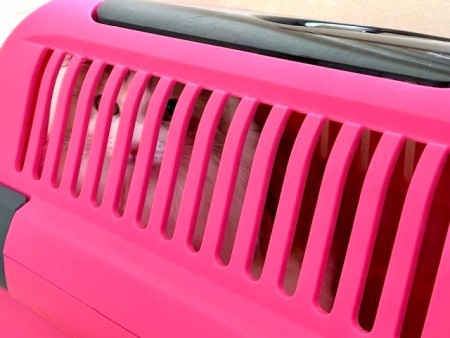 thumbnail_IMG_4578 (1)