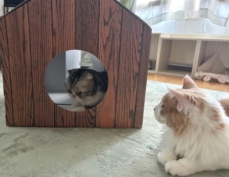 thumbnail_IMG_8389 (2)