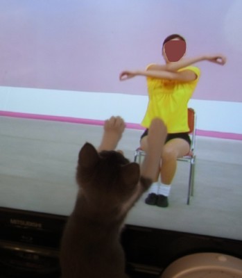 「猫だらけ」