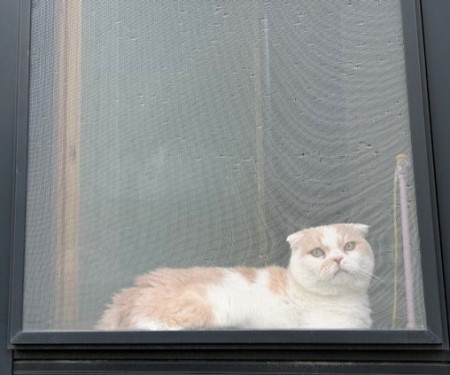 thumbnail_IMG_3573 (1)