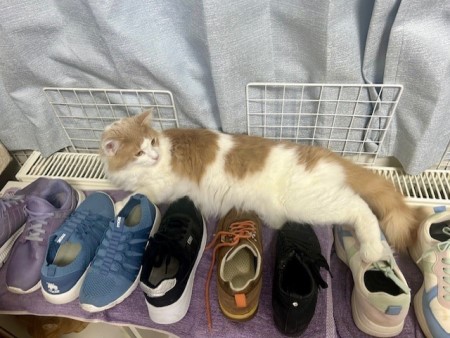 thumbnail_IMG_5210 (2)