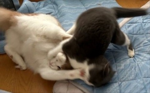 thumbnail_IMG_4148 (1)