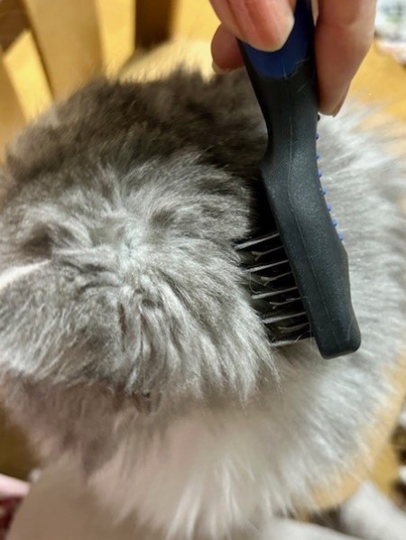 97470259-c6fd-48ba-af5a-85f010cee4d3