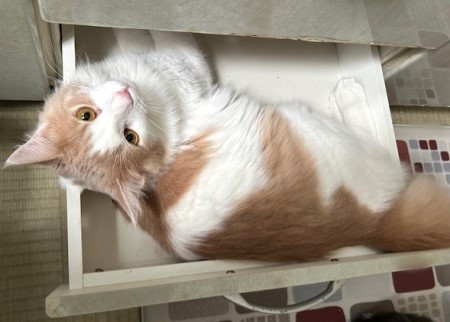 thumbnail_IMG_9710 (1)