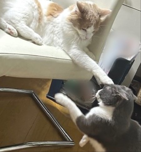 thumbnail_IMG_3771 (1)