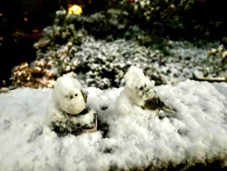 thumbnail_5B74BC1E-6F75-4E24-BFA2-A660E08A2108_1