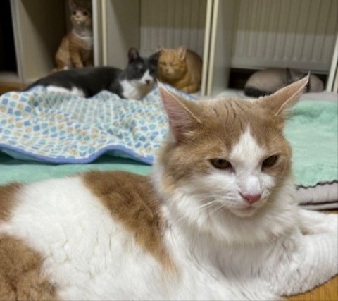 thumbnail_IMG_5320 (1)