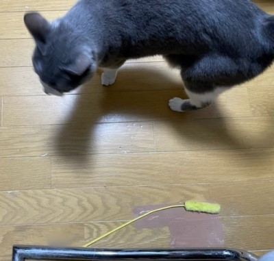 338