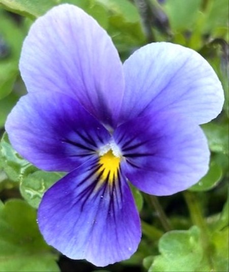 thumbnail_IMG_7165 (1)