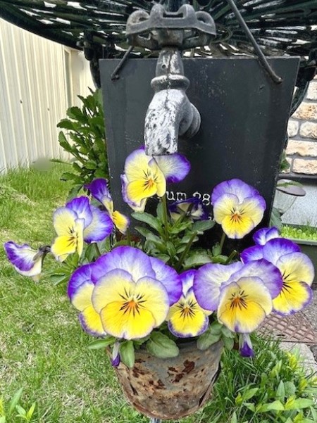 thumbnail_IMG_5498 (1)