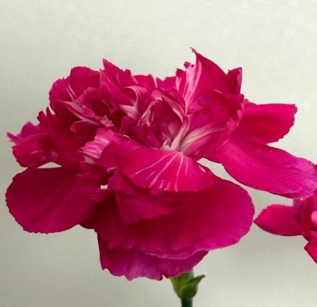 thumbnail_IMG_5701 (1)