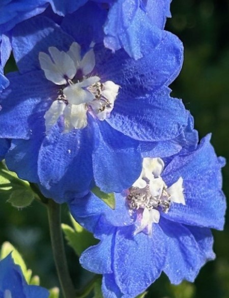 thumbnail_IMG_2166 (1)