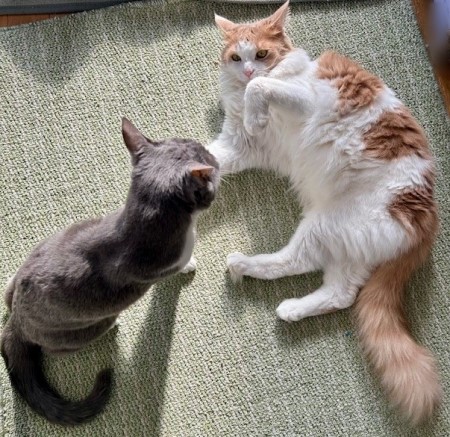 01962426-2099-4b3a-8544-dcab8efb05c0