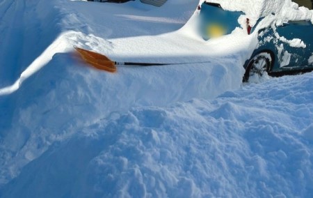 4545546b-5cd8-4b0d-8ebc-22d01717b07a