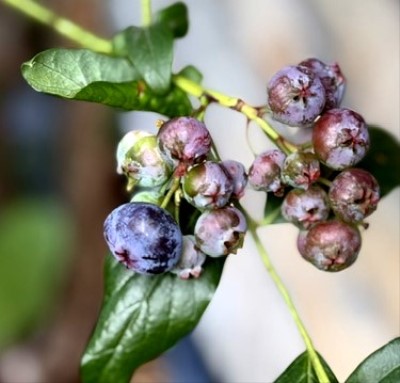 91288c6c-7fda-499c-a1bf-80d6e704c34f