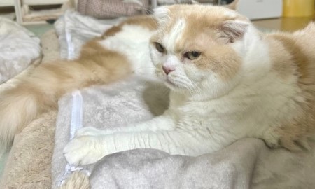 thumbnail_IMG_4379