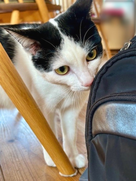 db8c7d64-d257-4367-a830-d283d2d0b909